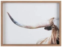 Crestview Collection American Bred Hand Finished Wall Art