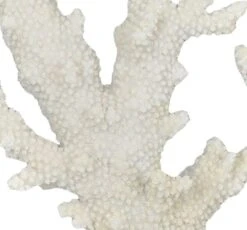 Crestview Collection Natural White Coral Statue -Crestview Shop 223f6dc0 72a4 4216 8863 6a81548869f1