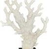 Crestview Collection Natural White Coral Statue 2 Crestview Collection Natural White Coral Statue -Crestview Shop 292a08b1 77f6 4d51 80e1 77f395be09b0
