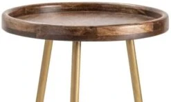 Crestview Collection Bengal Manor Silva Medium Brown Accent Table With Brass Base 6 Crestview Collection Bengal Manor Silva Medium Brown Accent Table With Brass Base -Crestview Shop 455b3621 ca60 42ee bc8b 1ee4548952d8