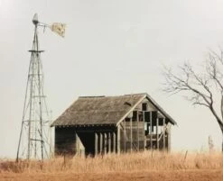 Crestview Collection Abandoned Barn Brown/Light Brown Wall Art 5 Crestview Collection Abandoned Barn Brown/Light Brown Wall Art -Crestview Shop 67391fad 1f7e 41ee 8b56 dc82b37eaf86