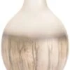 Crestview Collection Astra Frosted Large Vase 2 Crestview Collection Astra Frosted Large Vase -Crestview Shop 755e561d c2e6 48e2 b4d2 081b943f635a