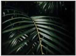 Crestview Collection Safari Leaves 2 Wall Art