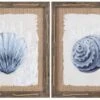 Crestview Collection Seashore Seashells 2-Piece Wall Art Set -Crestview Shop 97dc66a9 d967 46a9 a84f 4897f6a4642c