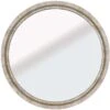 Crestview Collection Leo I Beige Mirror -Crestview Shop d0c8e161 1004 4ac6 aa35 bb3882797115