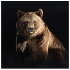 Crestview Collection Resting Brown Wall Art