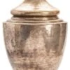 Crestview Collection Thoreau Gold Medium Lidded Jar